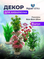 Набор растений для аквариума 20 см