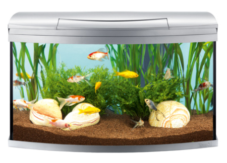 Аквариум Tetra AquaArt® Evolution Line 100л 77x38x48см